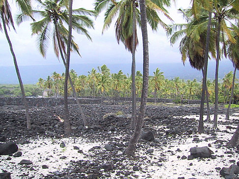 Der Strand von Hawaii Fotos
